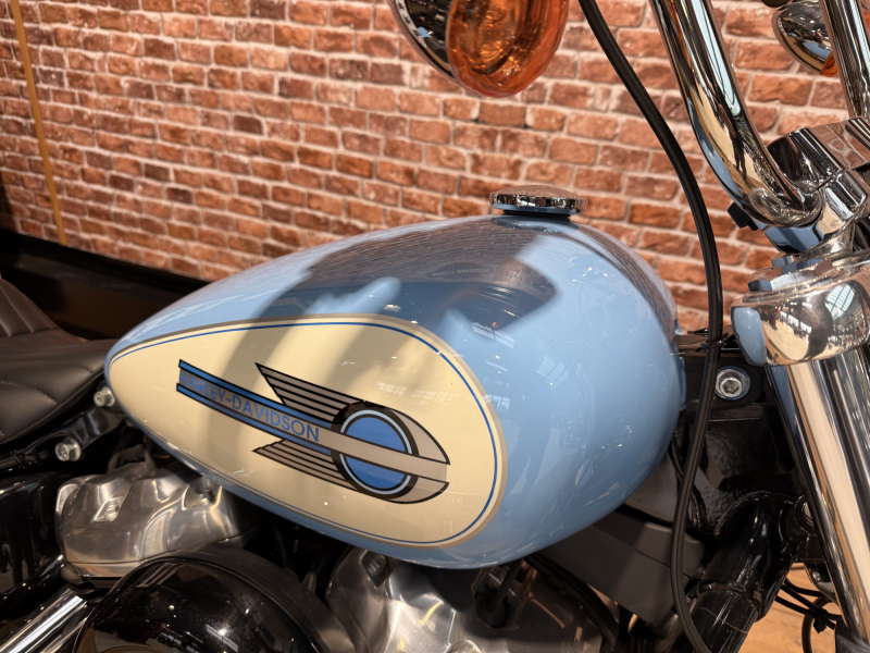 HARLEY DAVIDSON SOFTAIL STANDARD 1745 