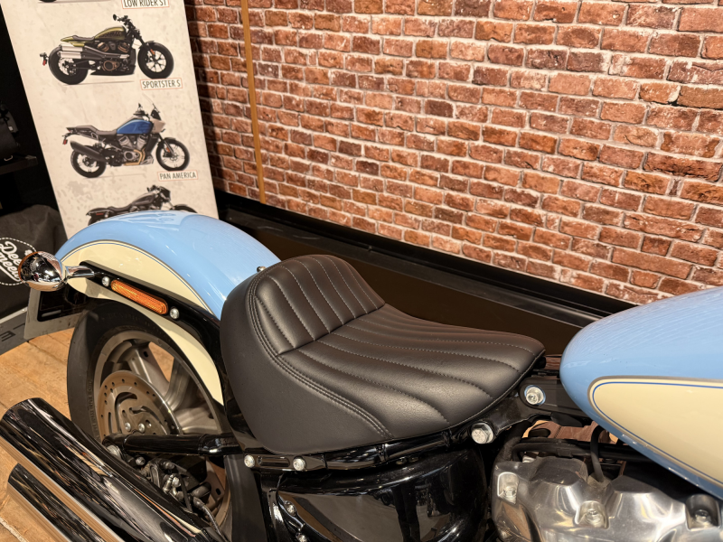 HARLEY DAVIDSON SOFTAIL STANDARD 1745 