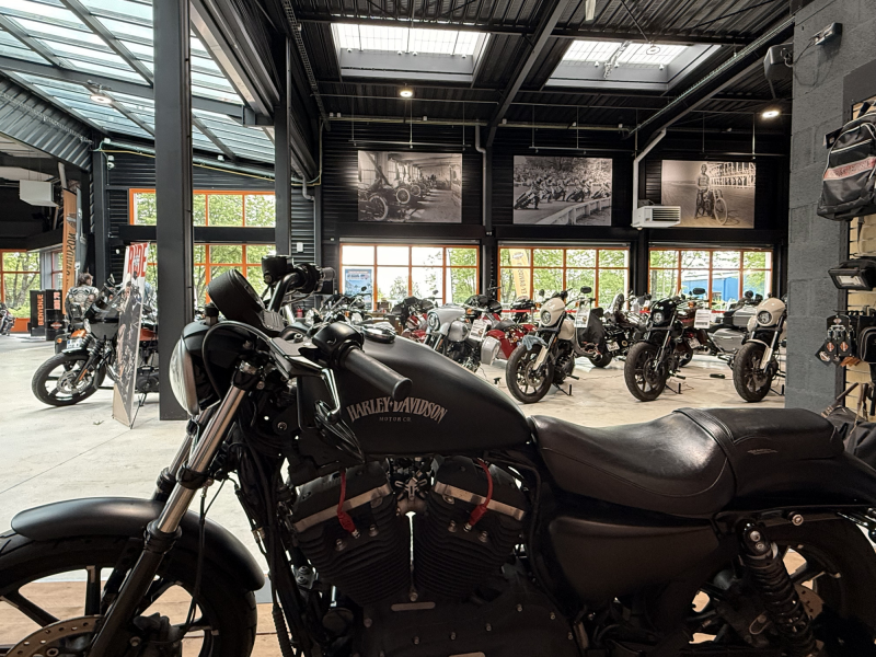 HARLEY DAVIDSON SPORTSTER IRON 883 